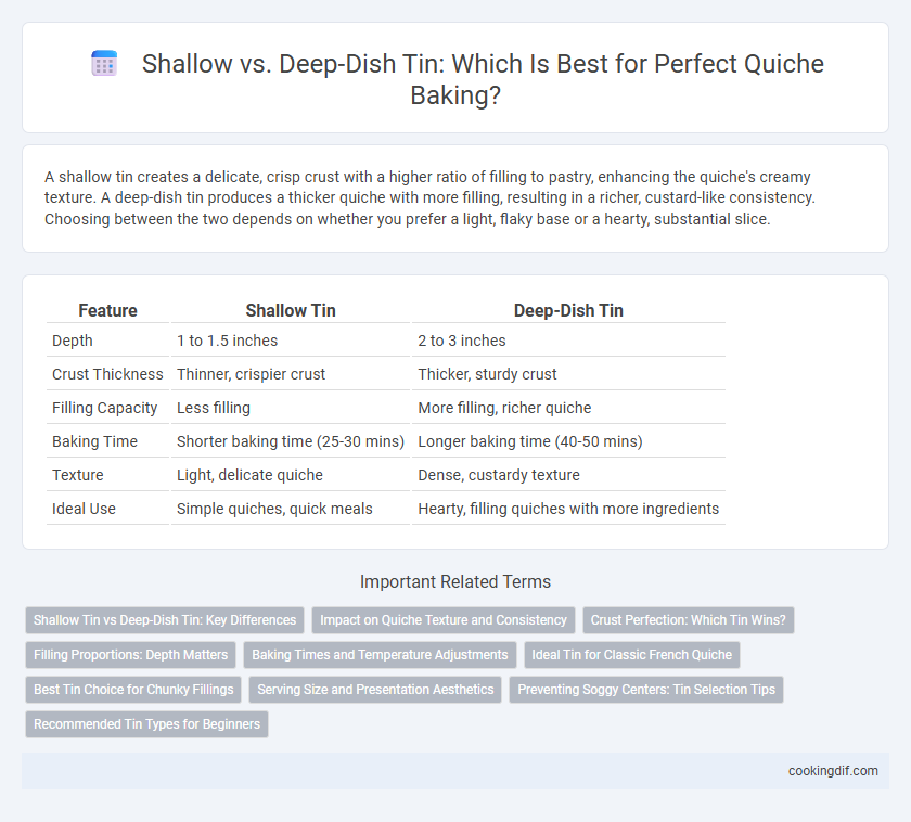 Shallow vs. Deep-Dish Tin: Which Is Best for Perfect Quiche Baking?