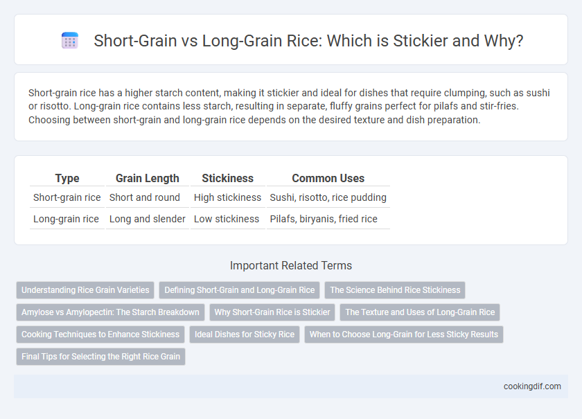 Short-Grain vs Long-Grain Rice: Which is Stickier and Why?