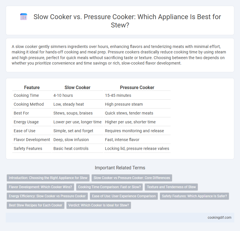 Slow Cooker vs. Pressure Cooker: Which Appliance Is Best for Stew?