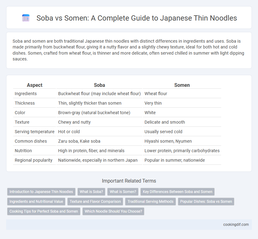 Soba vs Somen: A Complete Guide to Japanese Thin Noodles