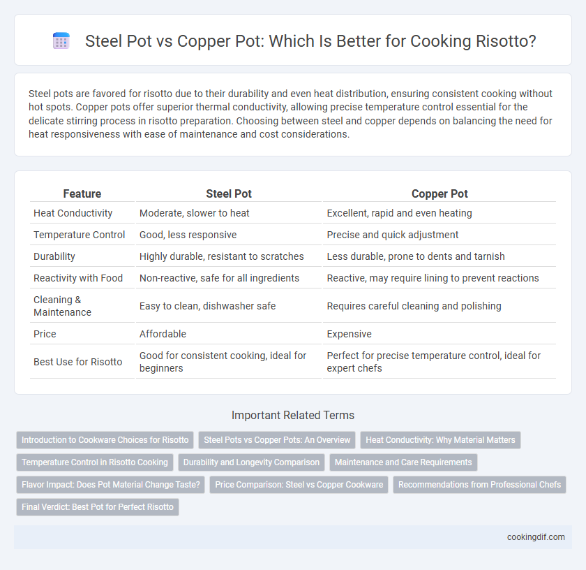 Steel Pot vs Copper Pot: Which Is Better for Cooking Risotto?