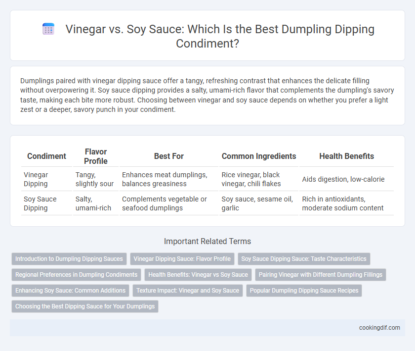 Vinegar vs. Soy Sauce: Which Is the Best Dumpling Dipping Condiment?