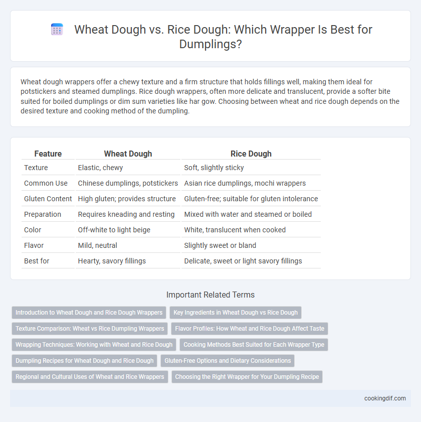 Wheat Dough vs. Rice Dough: Which Wrapper Is Best for Dumplings?