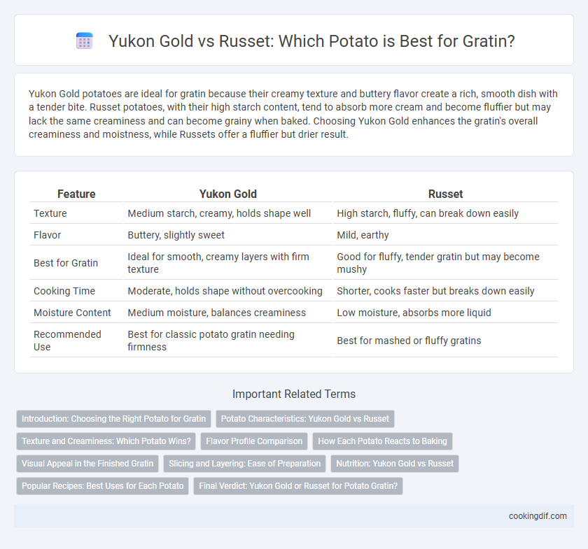 Yukon Gold vs Russet: Which Potato is Best for Gratin?
